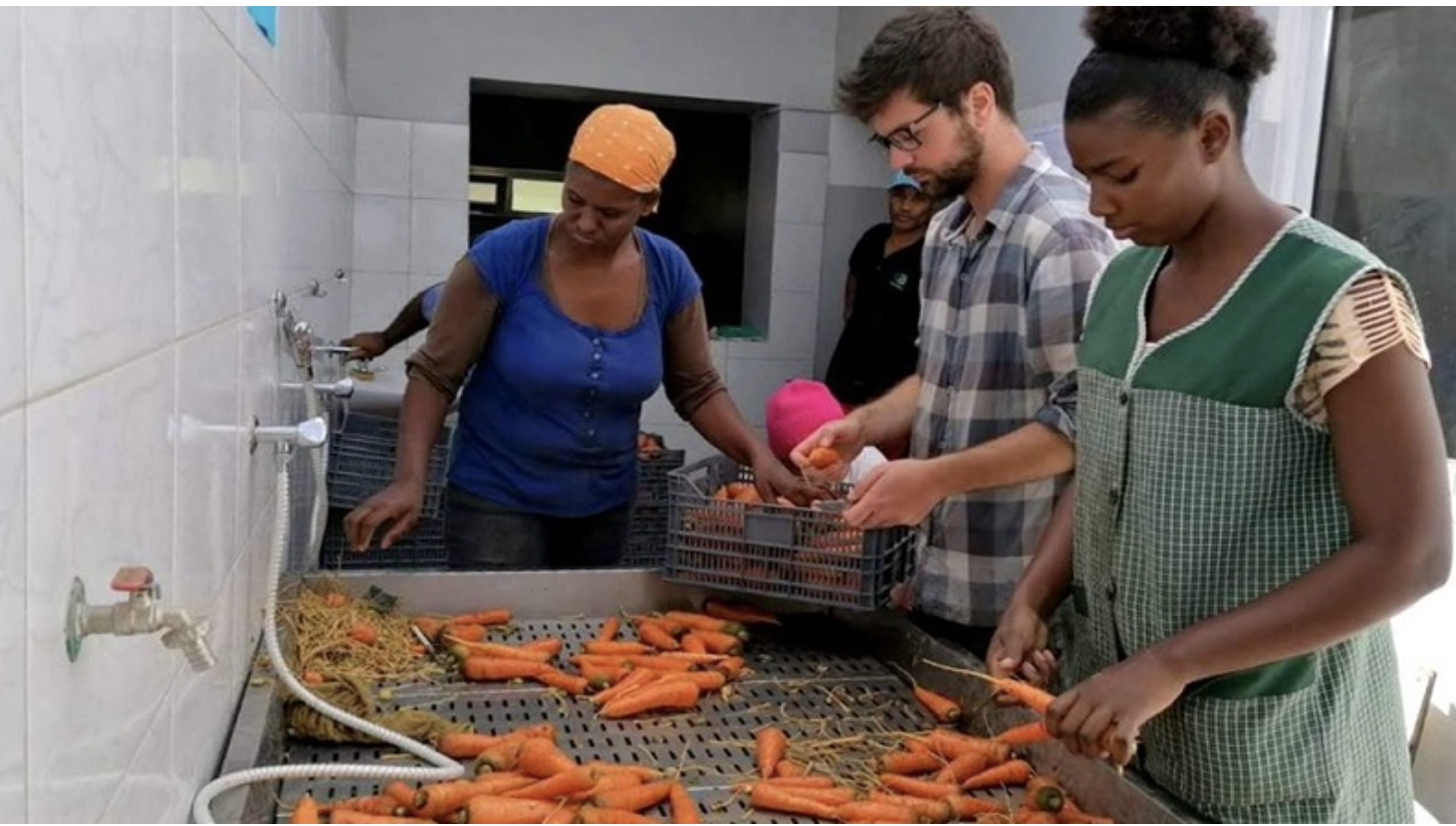 Porto Novo: Transformação agro-alimentar constitui aposta dos agricultores com a construção de três unidades até 2021 